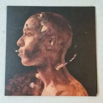 2LP Sor: Bae Doven