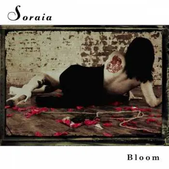 LP Soraia: Bloom CLR