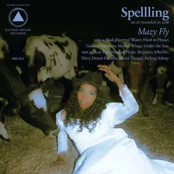 CD Spellling: Mazy Fly