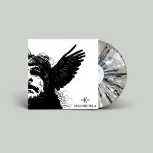 LP Splendidula: Somnus