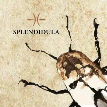 CD Splendidula: Splendidula