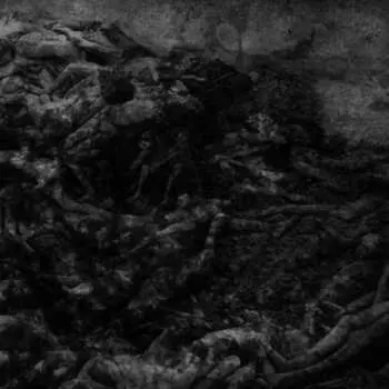 LP Dark Circles: Split
