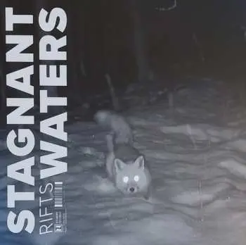 LP/CD Stagnant Waters: Rifts