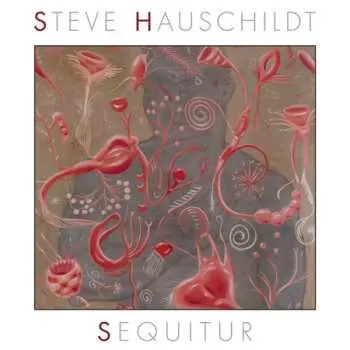 CD Steve Hauschildt: Sequitur
