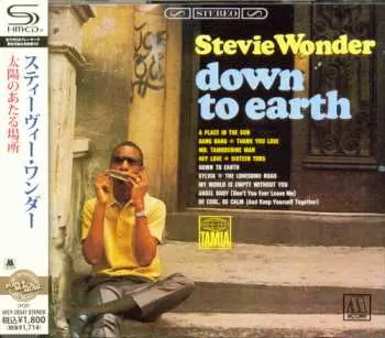 CD Stevie Wonder: Down To Earth