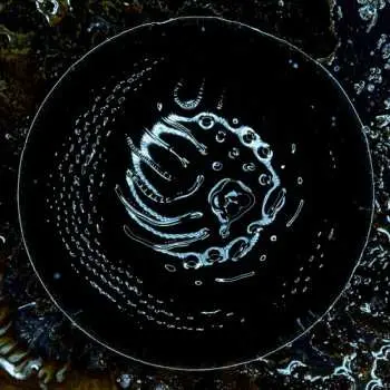 LP Stonus: Stonus