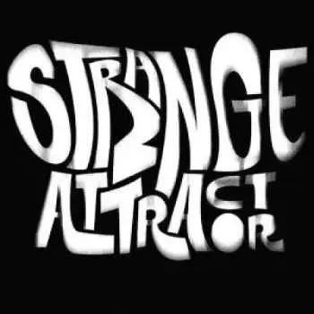 LP Strange Attractor: Strange Attractor