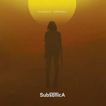 2LP Subsonica: Microchip Temporale