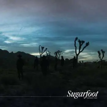 LP/CD Sugarfoot: Different Stars