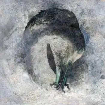 CD Suma: Ashes
