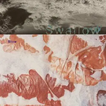 2CD Swallow: Blown