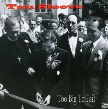 CD Tan Sleeve: Too Big To Fail