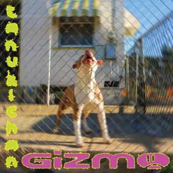 CD Tanukichan: Gizmo