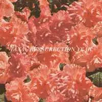 SP Taxa: Resurrection Year