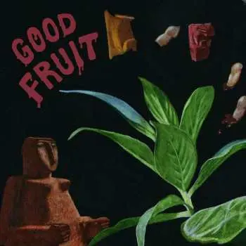 CD Teen: Good Fruit