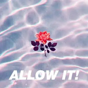 2LP TEK.LUN: ALLOW IT!