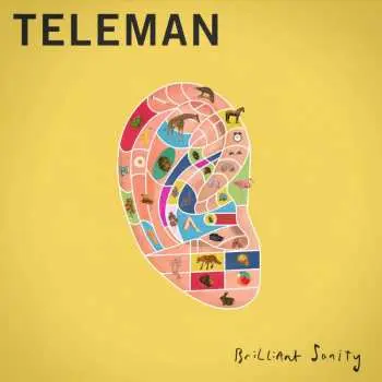 CD Teleman: Brilliant Sanity