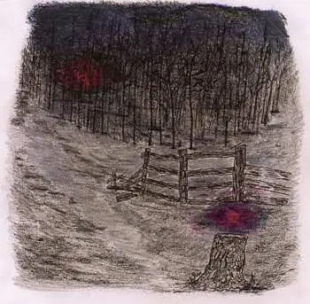 CD Telepathe: Farewell Forest
