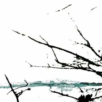 CD Tenhi: Vare