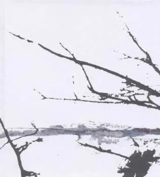 2LP Tenhi: Vare