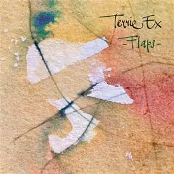 LP Terrie Ex: Flaps