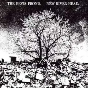2LP The Bevis Frond: New River Head