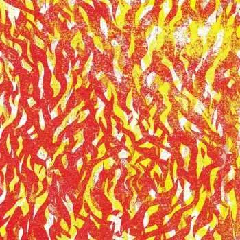CD The Bug: Fire