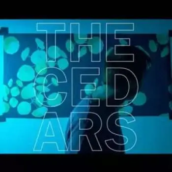 LP John Vanderslice: The Cedars