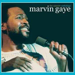 2CD Marvin Gaye: The Concert Anthology