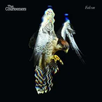 CD The Courteeners: Falcon