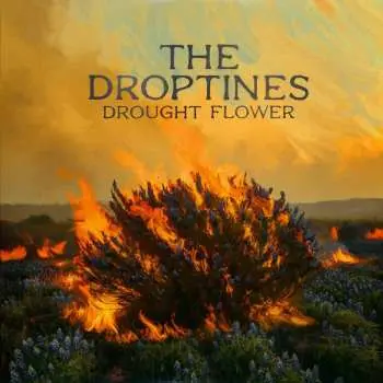 LP The Droptines: Drought Flower