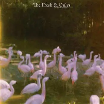 LP The Fresh & Onlys: August In My Mind