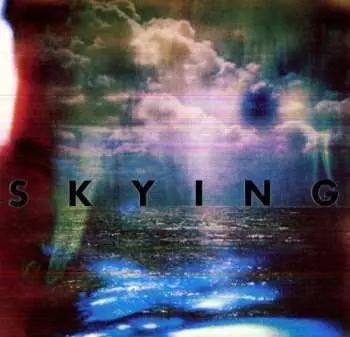 2LP The Horrors: Skying LTD
