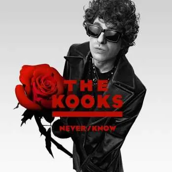 LP The Kooks: Never/know
