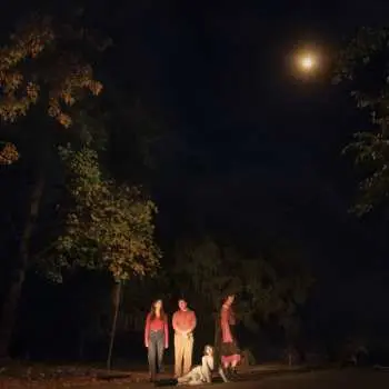 LP The Ophelias: Spring Grove