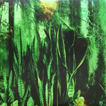 2LP The Promise Ring: Wood/Water