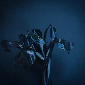 2LP A Swarm Of The Sun: The Rifts CLR | LTD