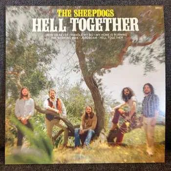 LP The Sheepdogs: Hell Together Green Ltd