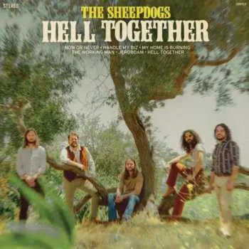 LP The Sheepdogs: Hell Together
