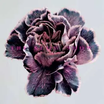 CD The Slow Show: Still Life