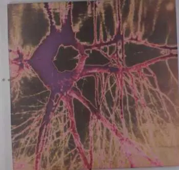 2LP The Use Of Ashes: Firetree LTD | NUM