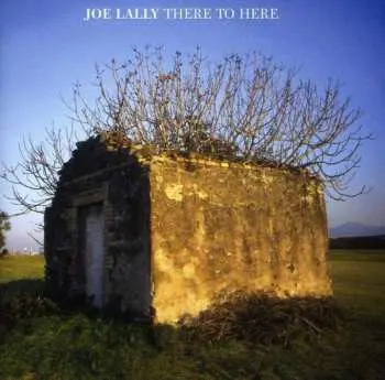 CD Joe Lally: There To Here