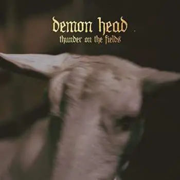 LP Demon Head: Thunder On The Fields