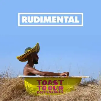 2LP Rudimental: Toast To Our Differences DLX