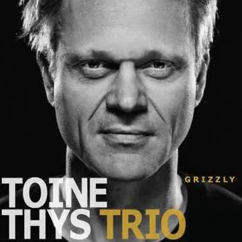 CD Toine Thys Trio: Grizzly