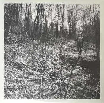 LP Topographies: Interior Spring