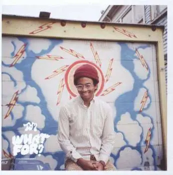 CD Toro Y Moi: What For?