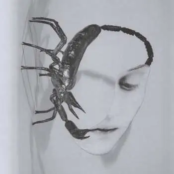 LP Tortoise: Touch