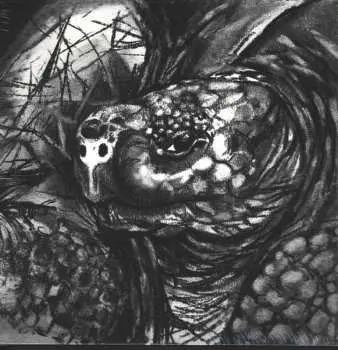 LP Tortuga: Tortuga CLR | LTD