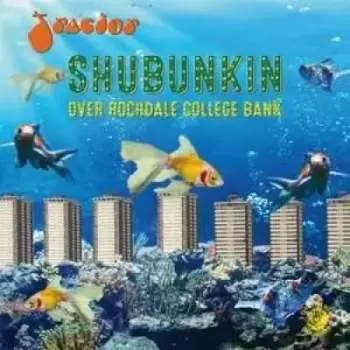 LP Tractor: Shubunkin Over Rochdale College Bank CLR